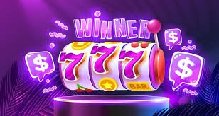 23win008